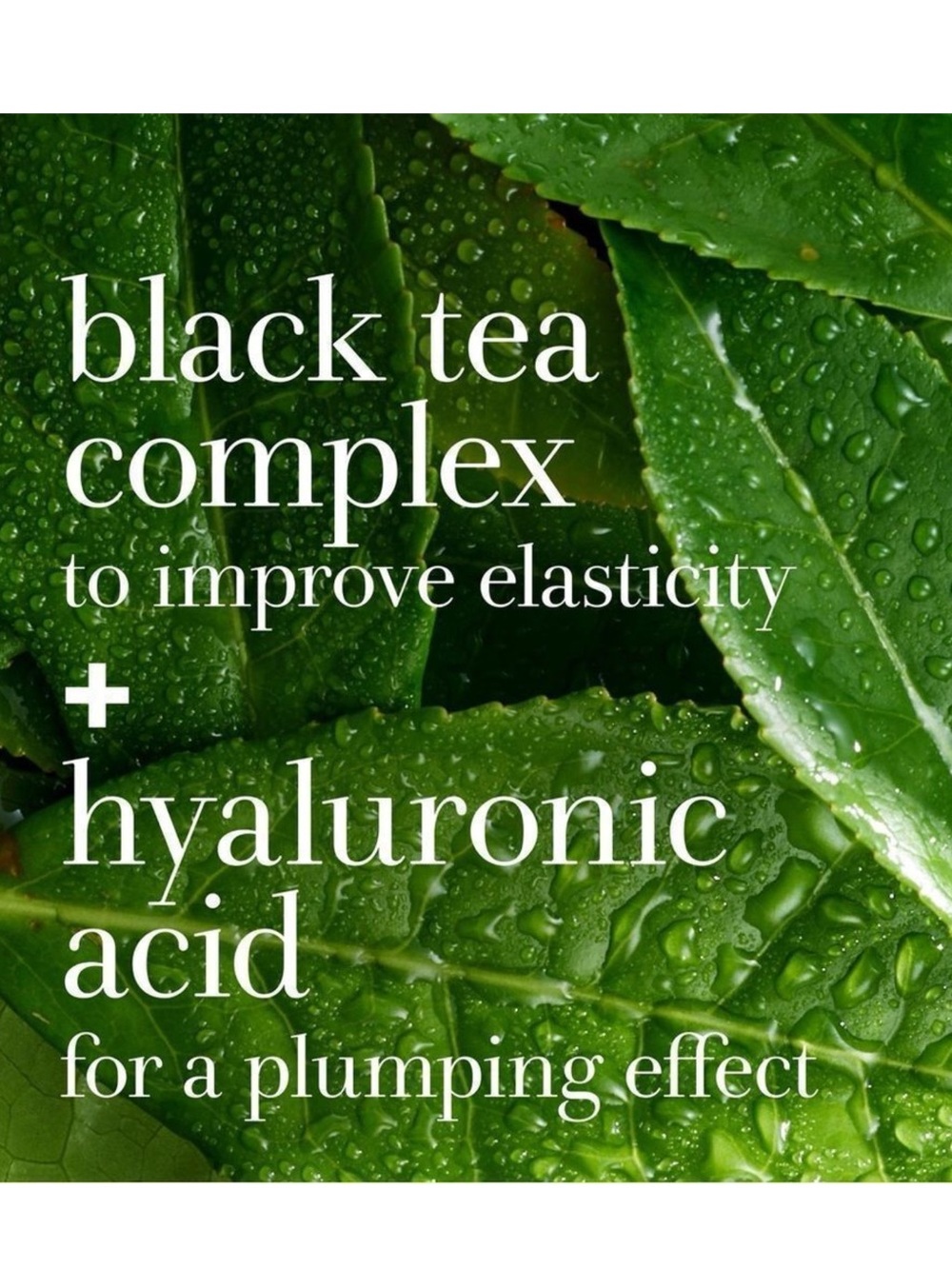 fresh Black Tea Instant Perfecting Mask 3.3 fl oz NEW! FULL SIZE! - Picture 5 of 9